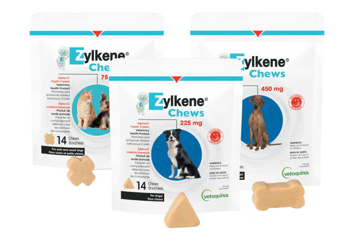 Zylkene chews hot sale for dogs